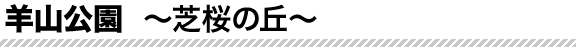 羊山公園〜芝桜の丘〜